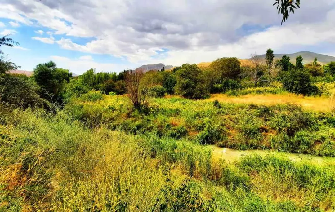 طبیعت سرسبز روستای زرین دشت فیروزکوه