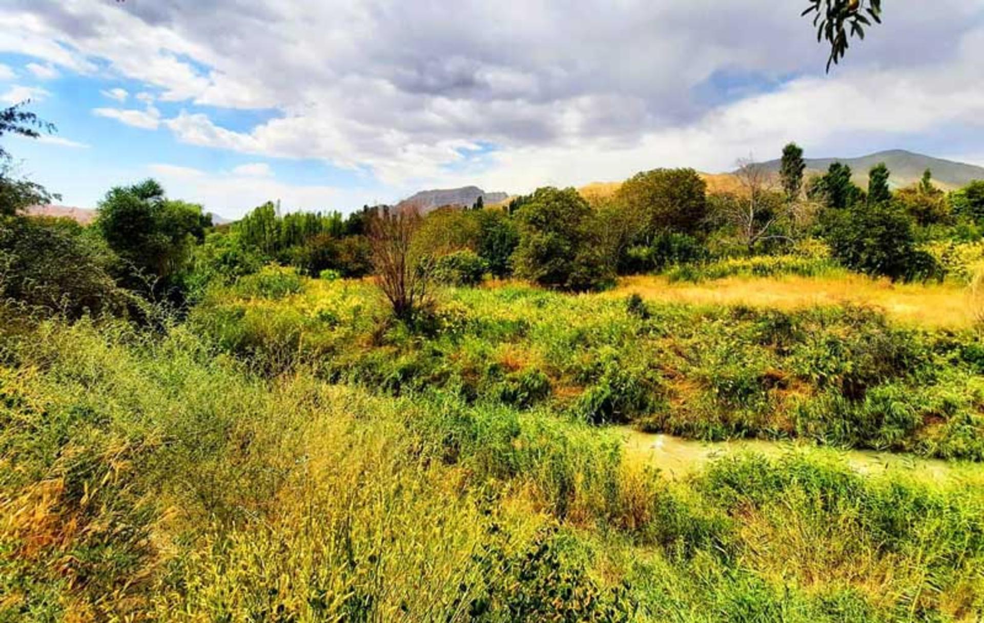 طبیعت سرسبز روستای زرین دشت فیروزکوه