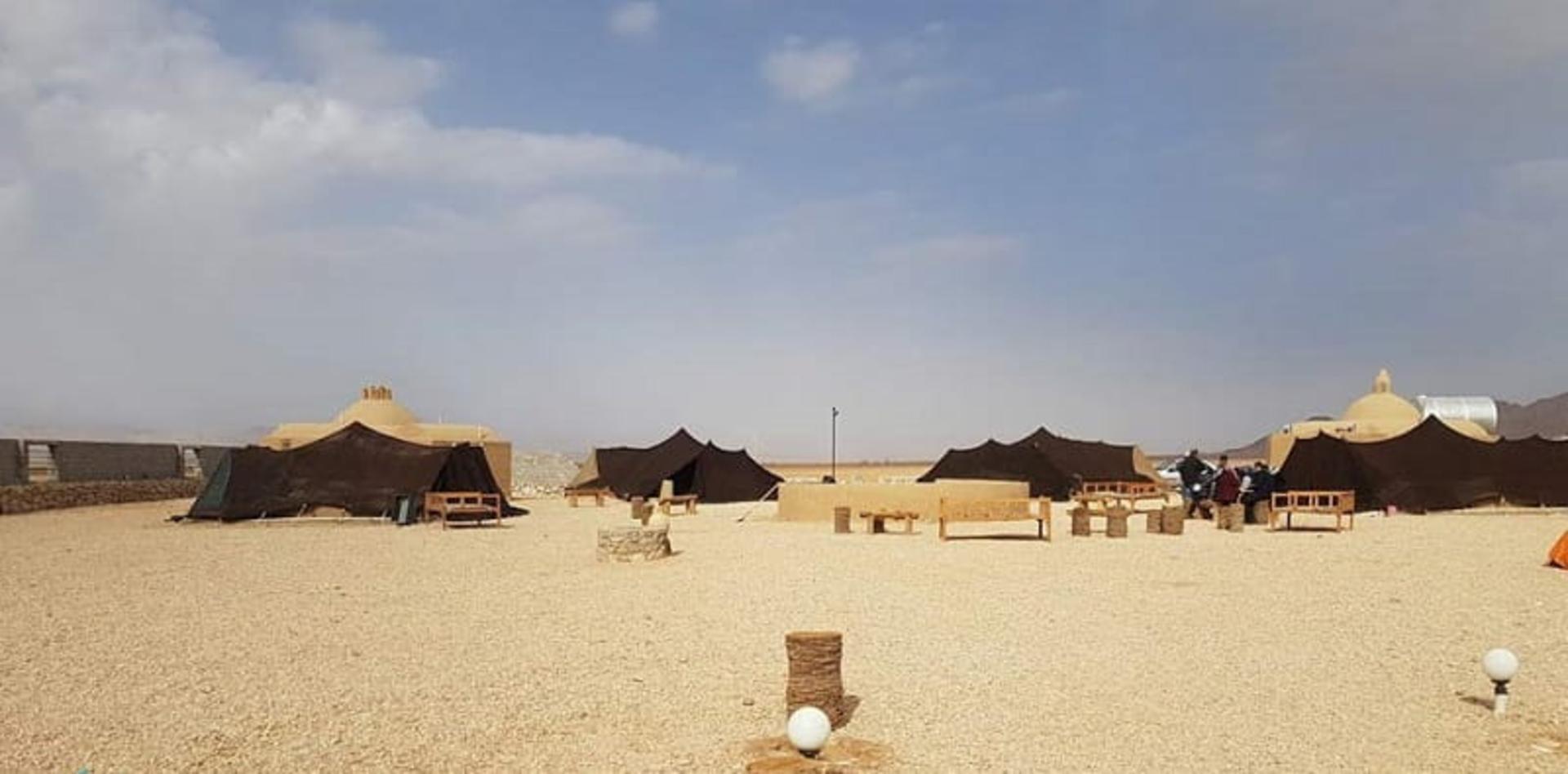 بومگردی دیکاکو