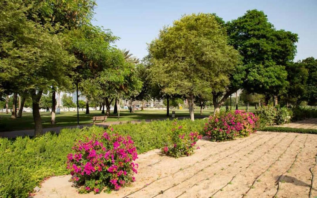 پارک صفا دبی