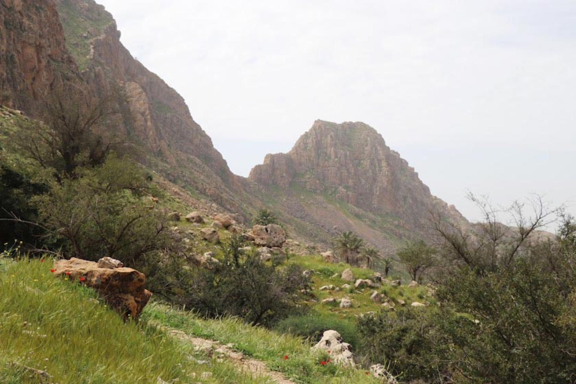 طبیعت زیبای تنگ تکاب