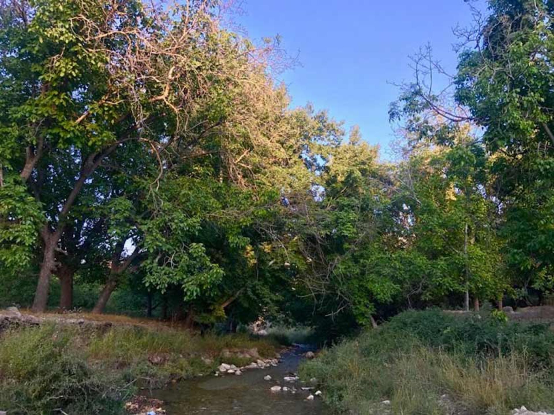 فضای بکر پارک ملی خبر 