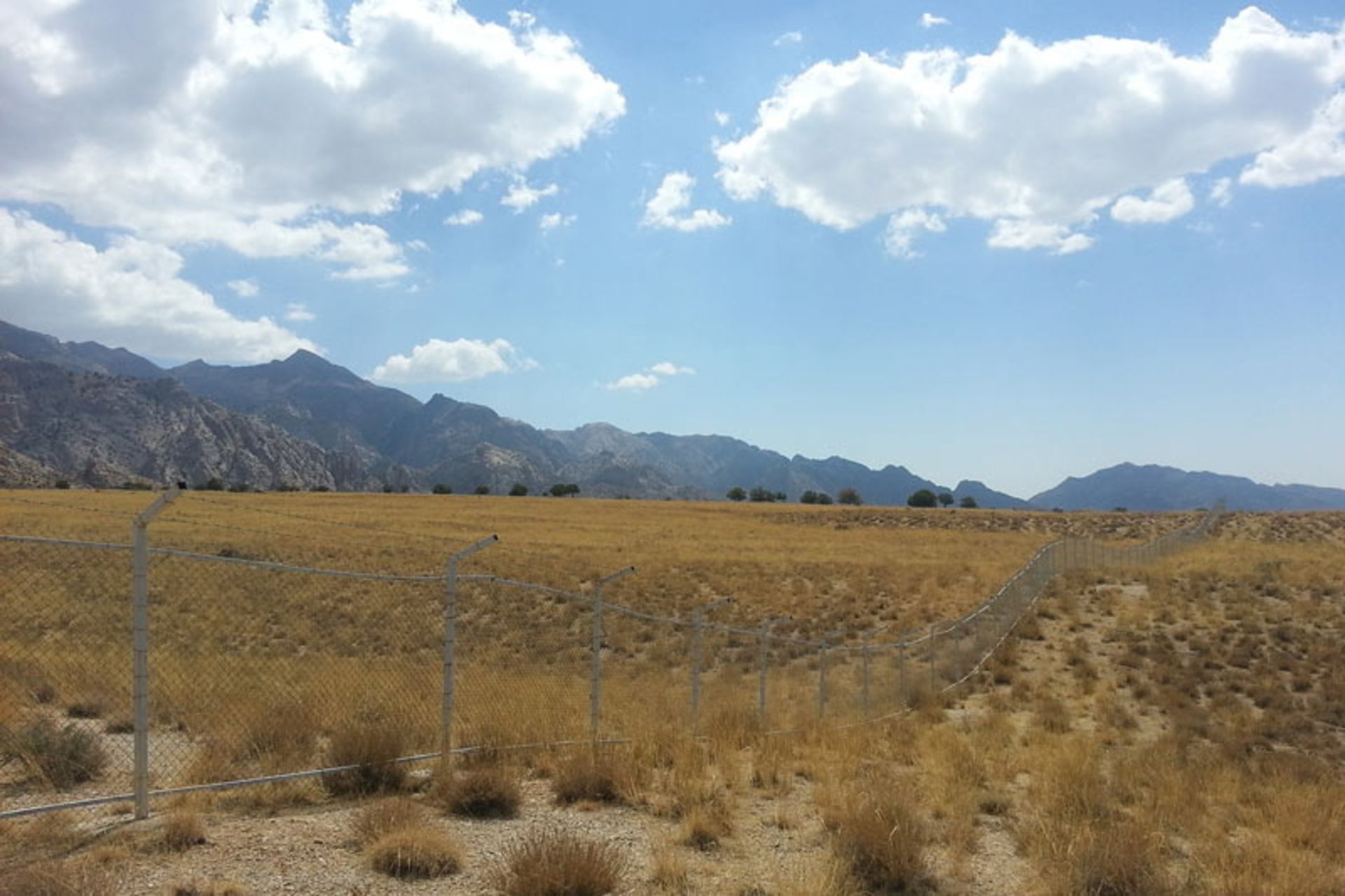 پوشش گیاهی پارک ملی خبر 
