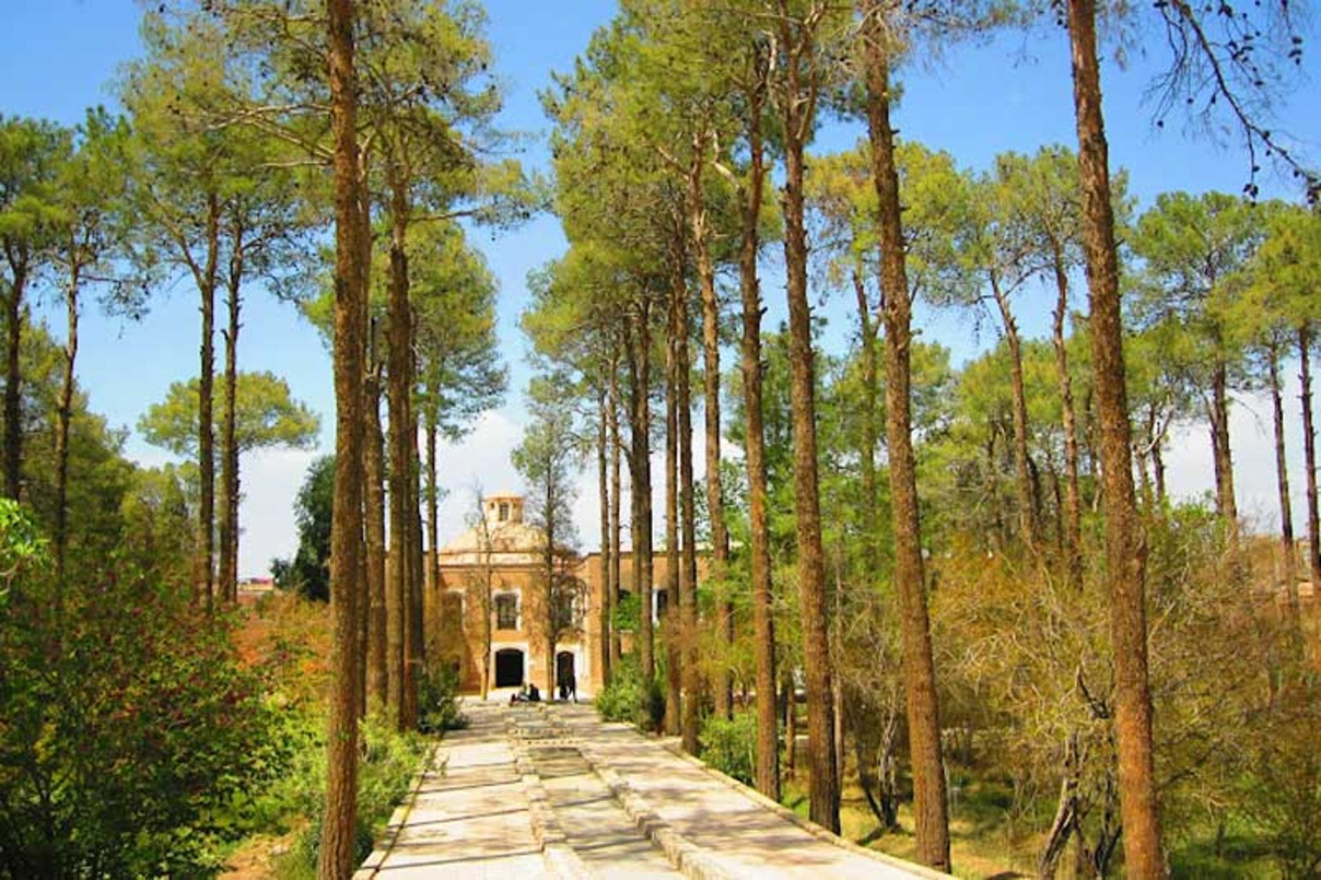 درختان باغ موزه هرندی