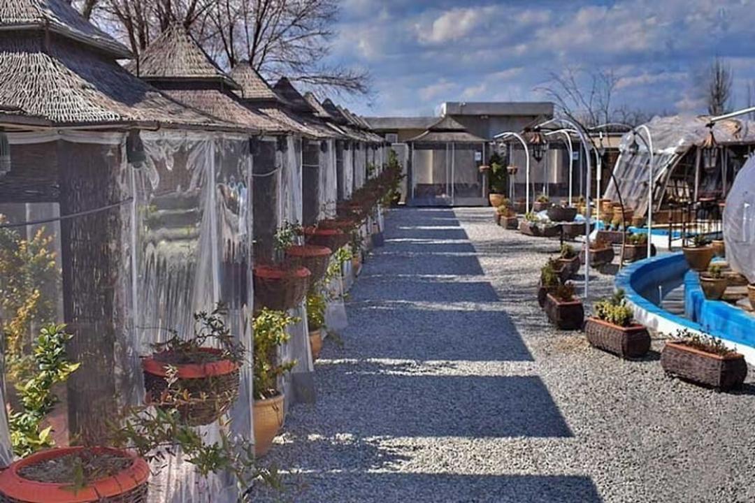 رستوران شاندیز سرسبز
