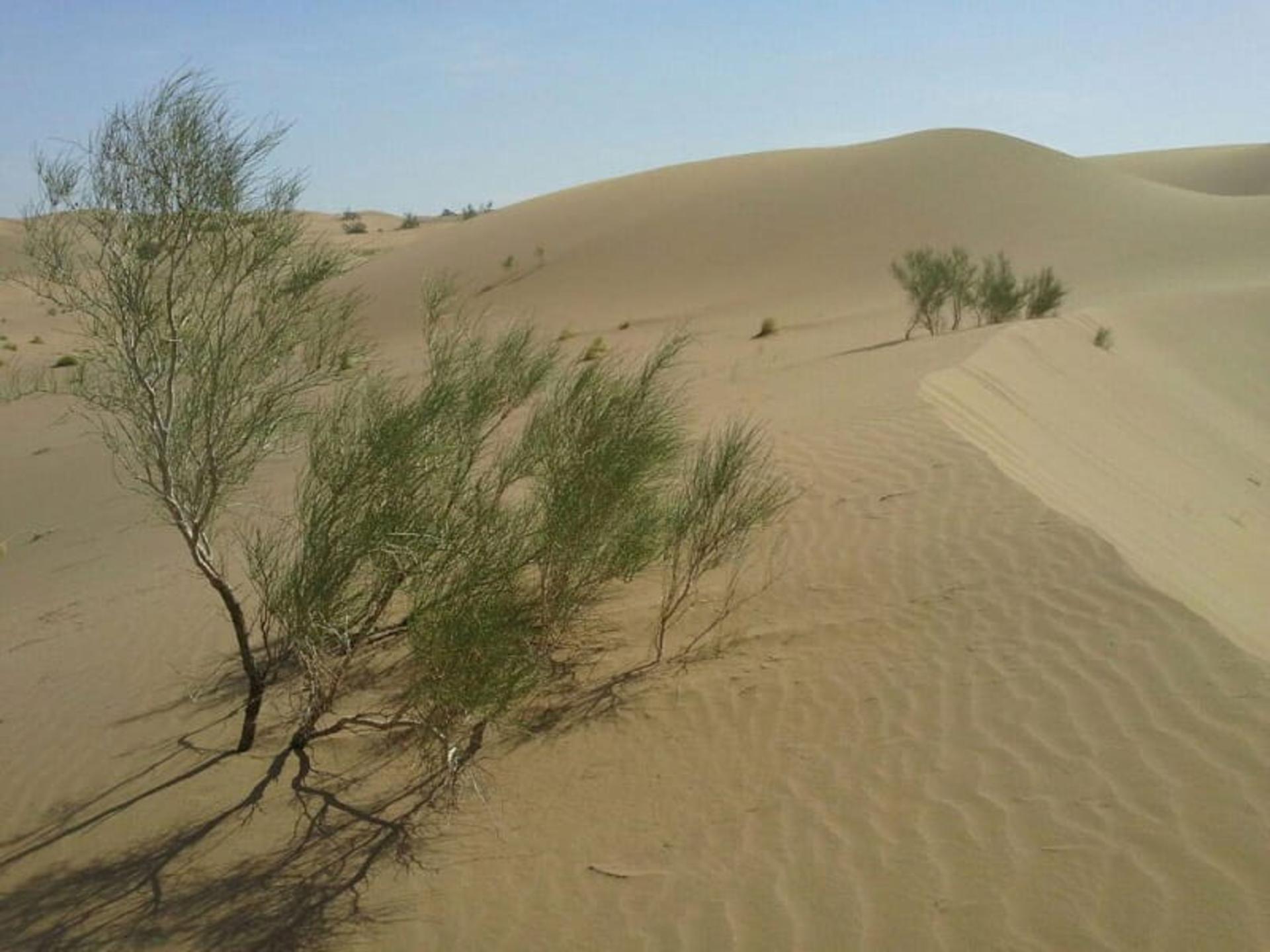 کویر رمز آلود ریگ جن