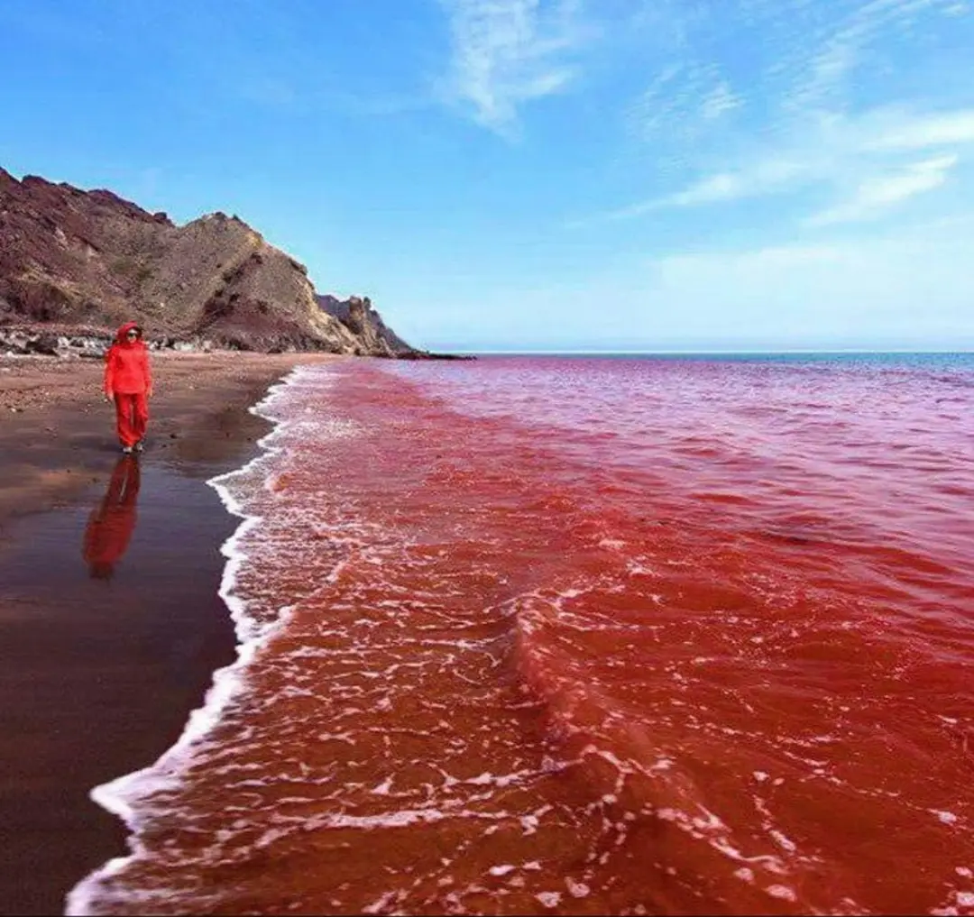 ساحل سرخ