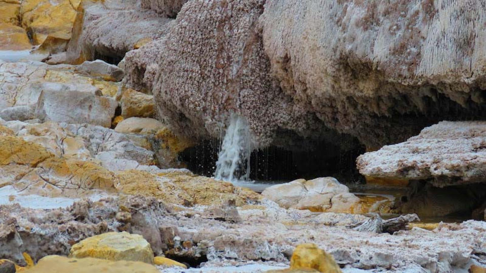 دره گل کلم گنبد نمکی جاشک