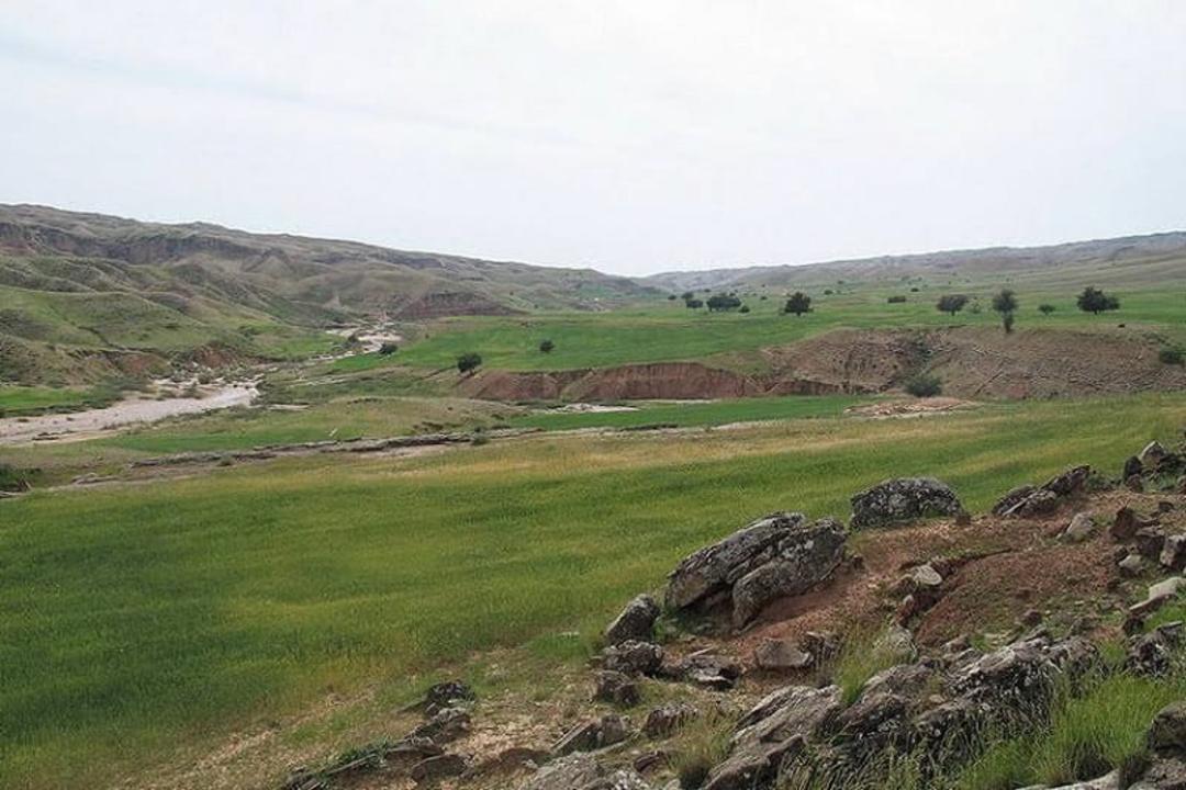 منطقه حفاظت شده چهل پا