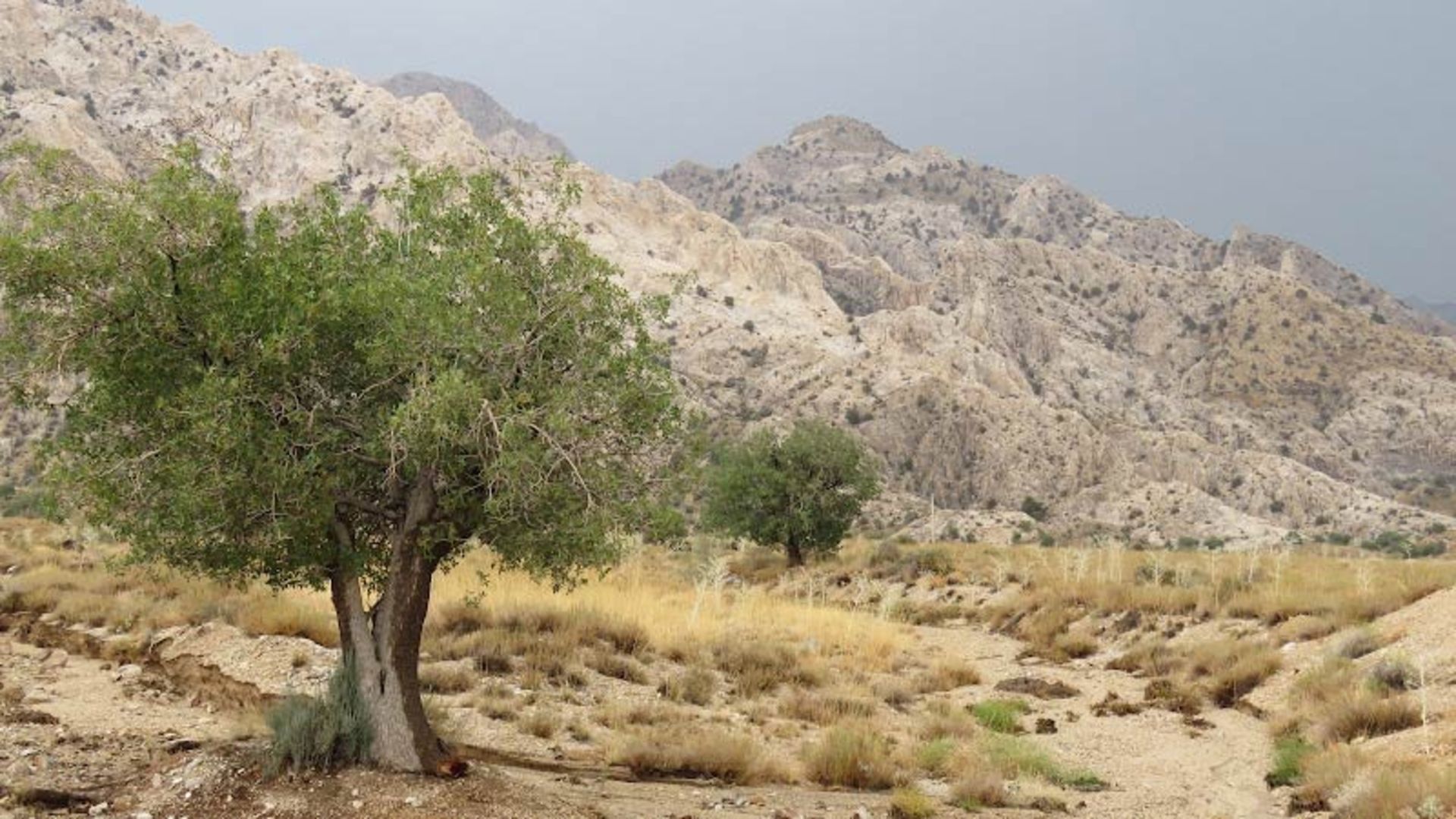 پارک ملی خبر کرمان