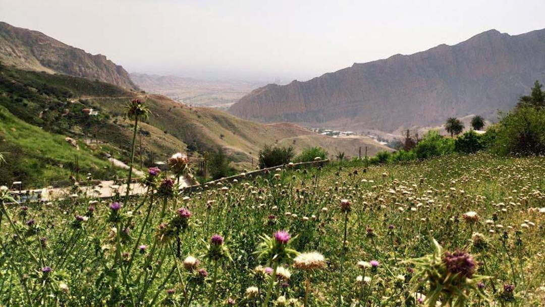 بهار در تنگ تکاب