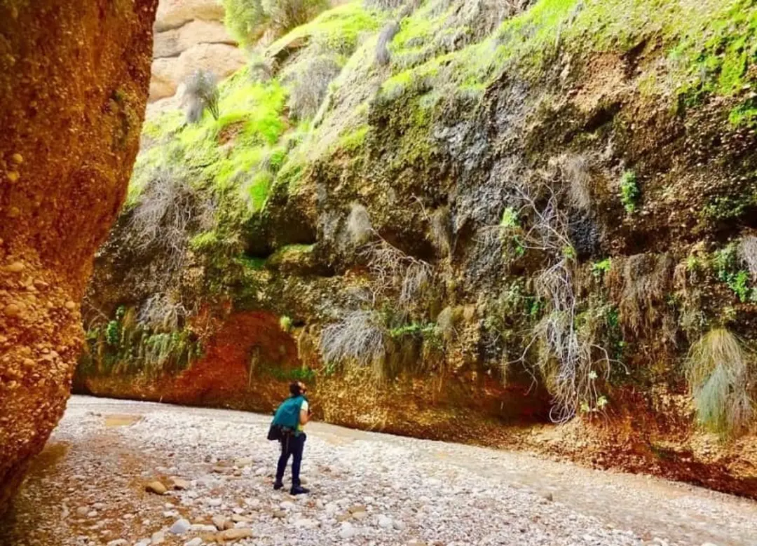 پیمایش کول خرسان