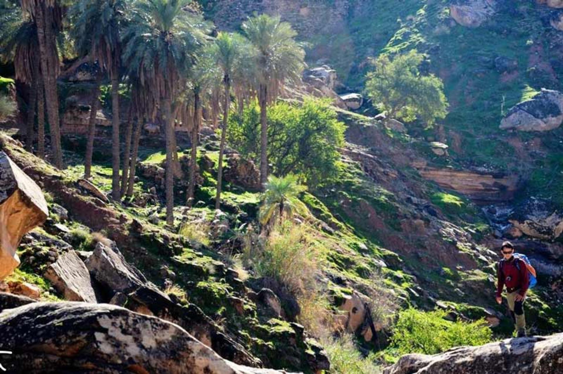 تماشای طبیعت در کول خرسان