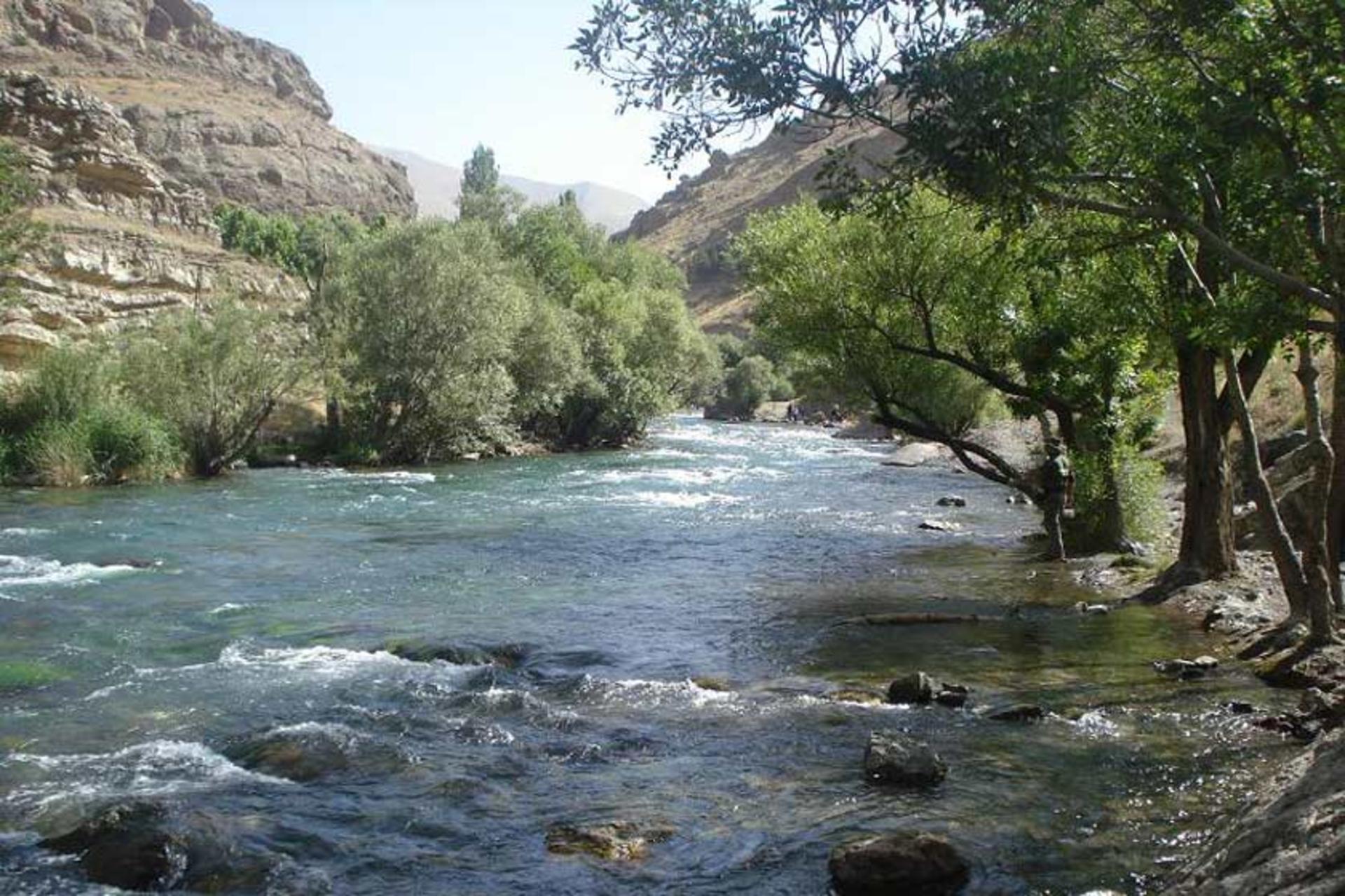 رودخانه جاجرود در جوار درختان سرسبز و کوهستان