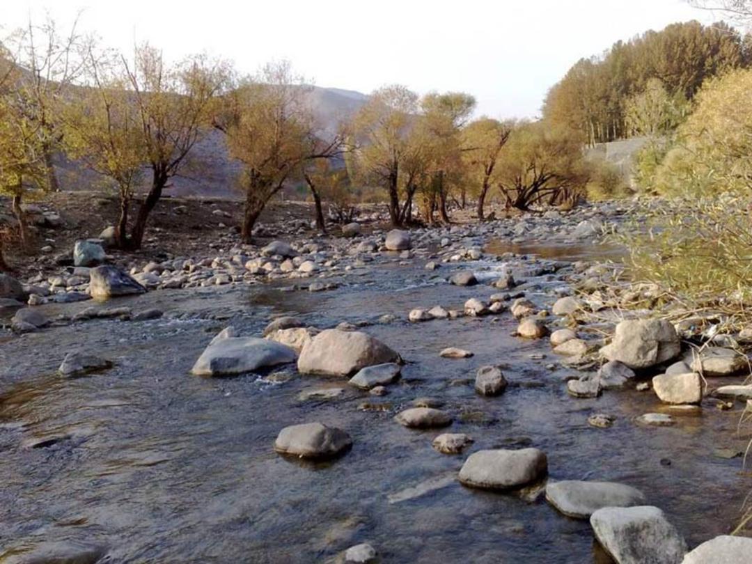 درختان نارنجی و تکه های سنگ در رودخانه جاجرود