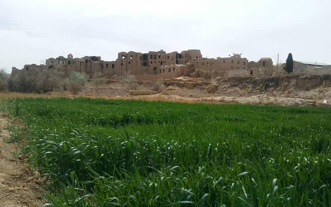 روستای خرانق