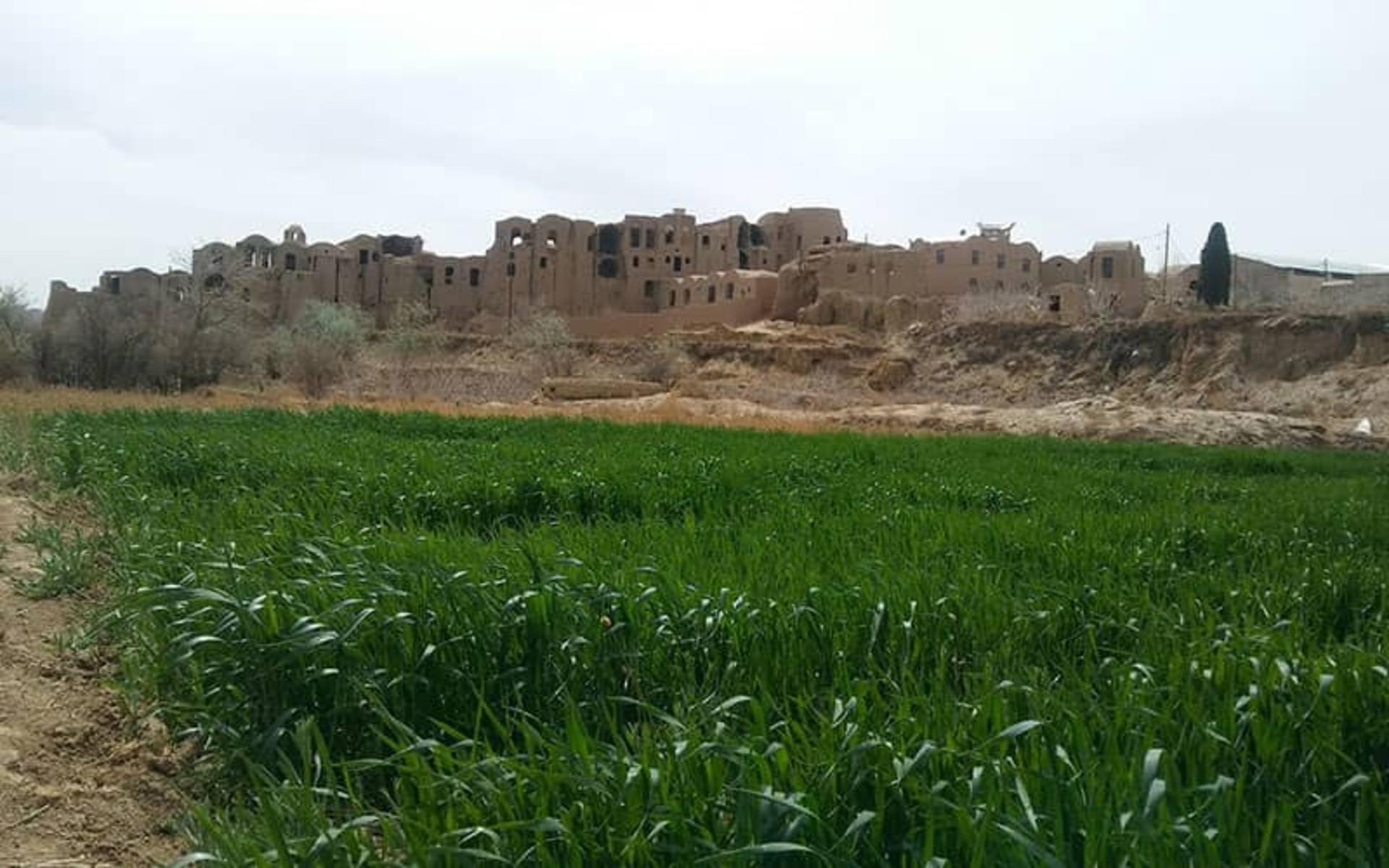 روستای خرانق