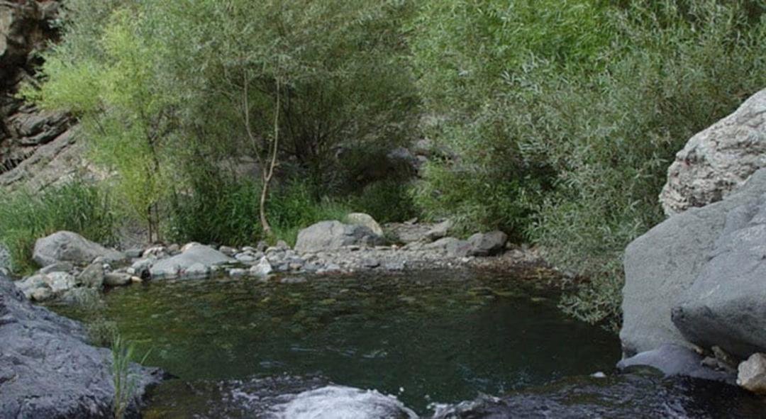 حوضچه در مسیر رودخانه دارآباد کنر درختان سبز