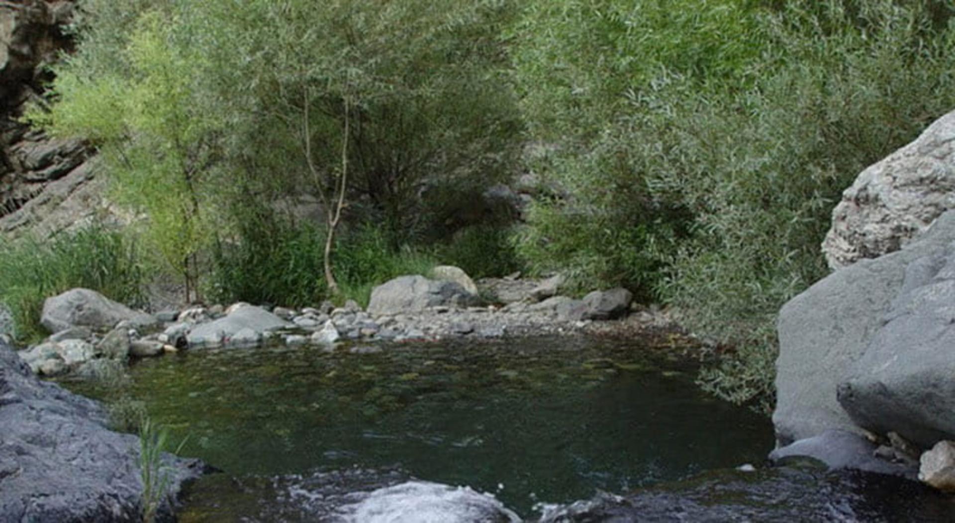 حوضچه در مسیر رودخانه دارآباد کنر درختان سبز