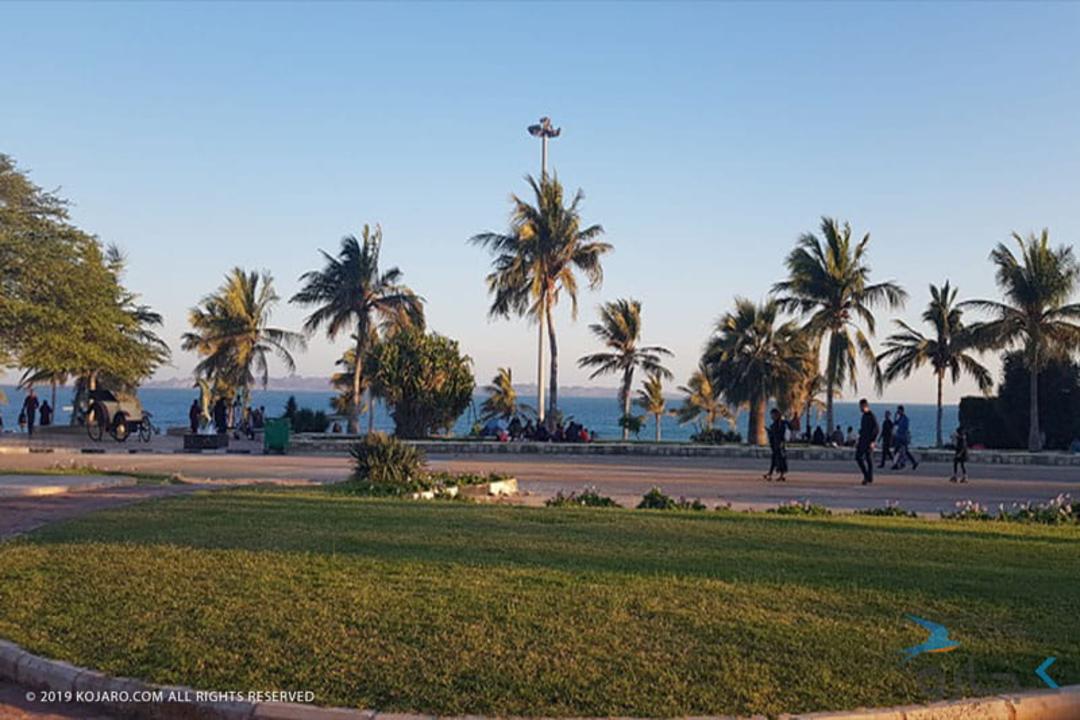 پارک زیتون قشم
