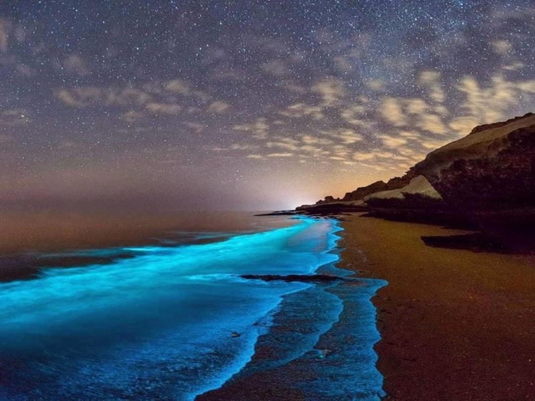 عکس ساحل نقره ای