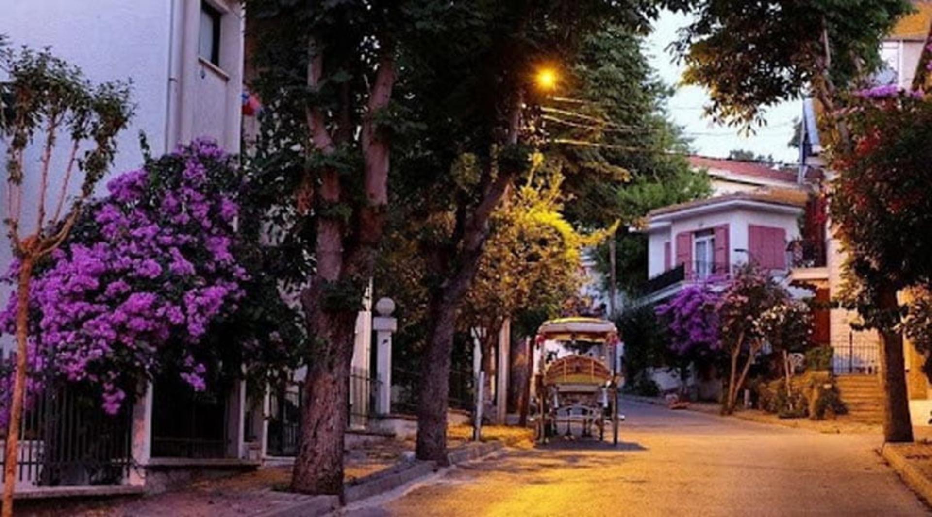 درشکه جزیره بیوک آدا در شب زیر درختان بیوک آدا