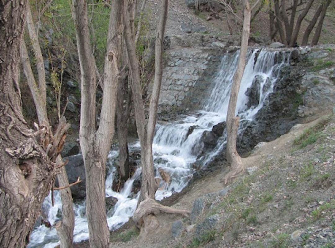 رودخانه گلابدره در شیب کوه  از پشت درختان