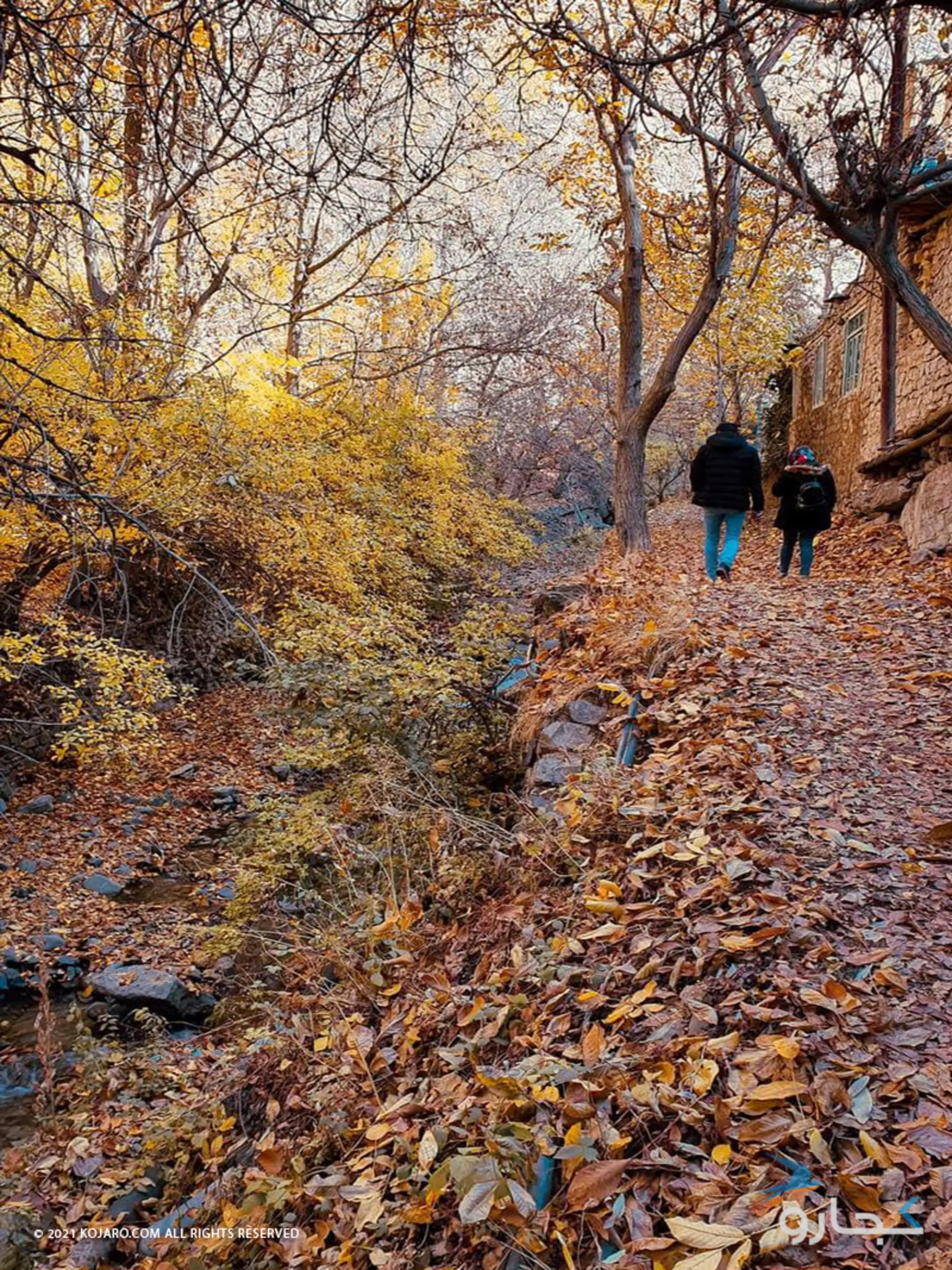 طبیعت روستای واریان در پاییز