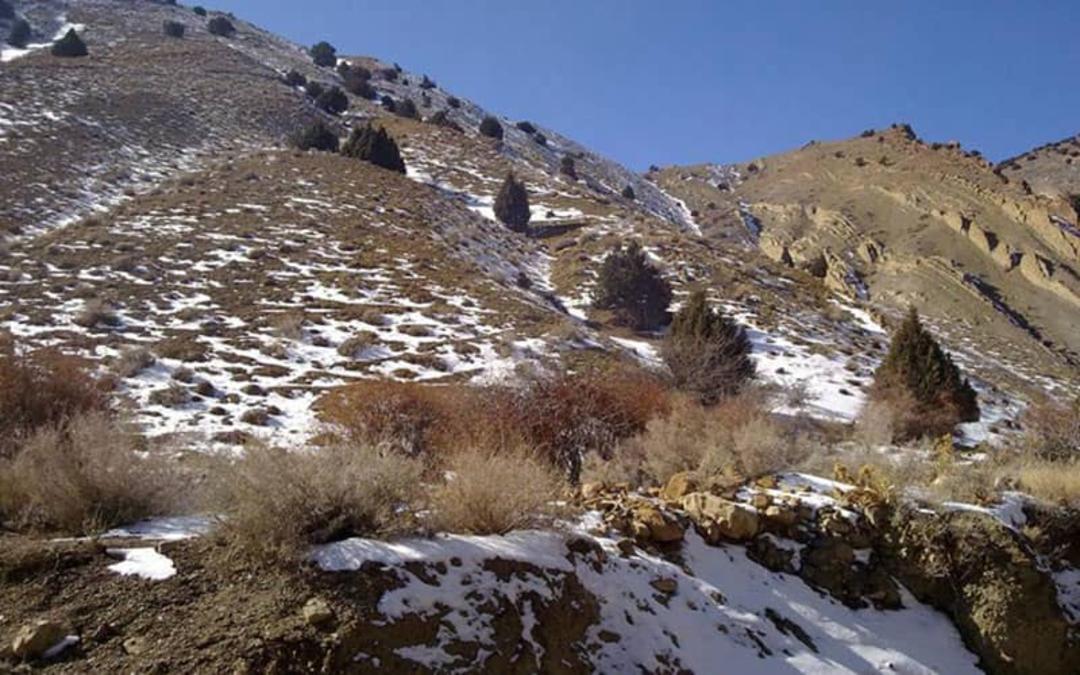  منطقه حفاظت‌شده مراکان