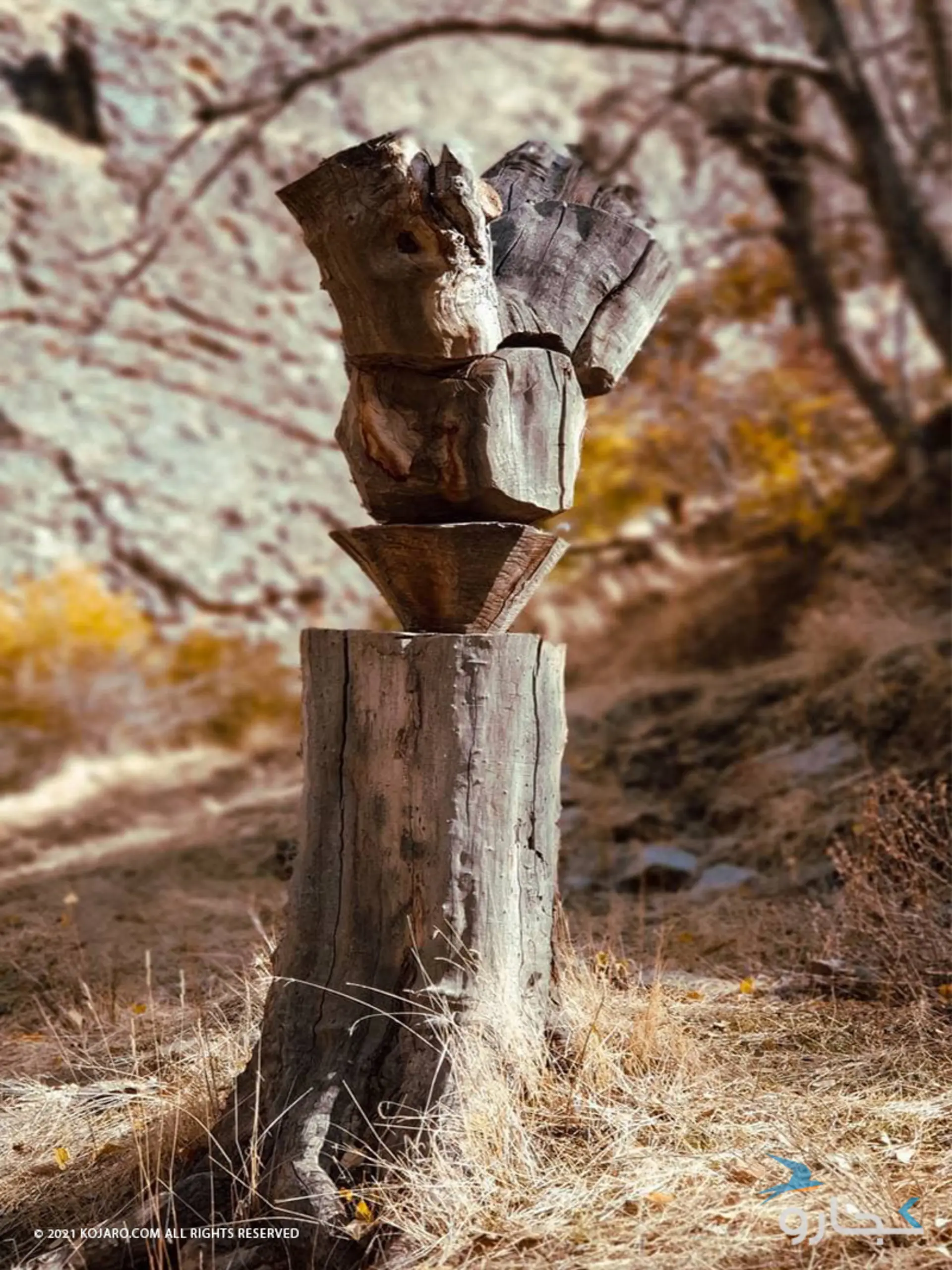 طبیعت روستای واریان در پاییز