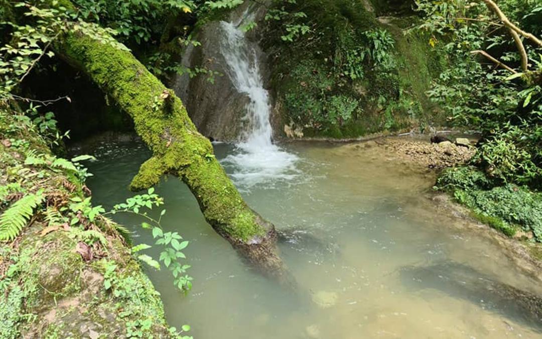 آبشار کلیره در دل جنگل سرسبز بابل
