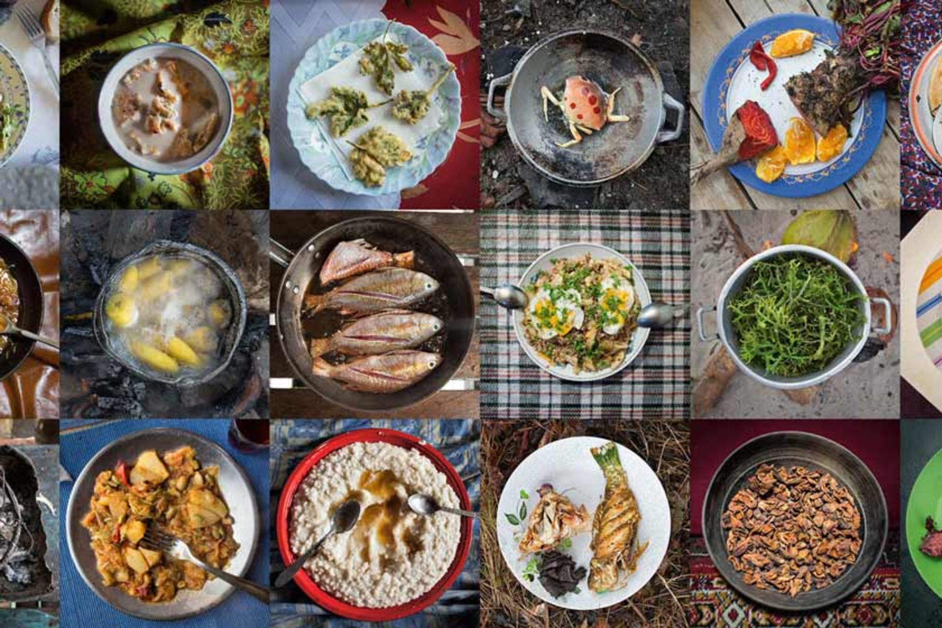 غذای ملل