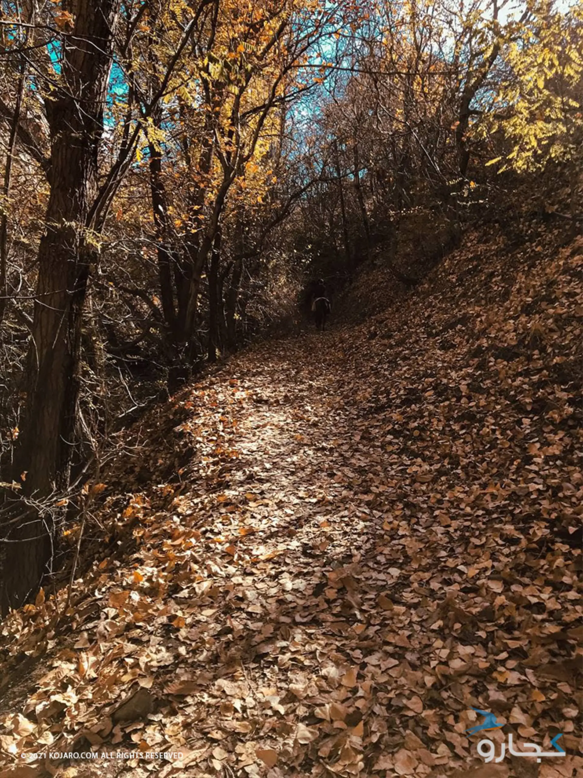 طبیعت روستای واریان در پاییز