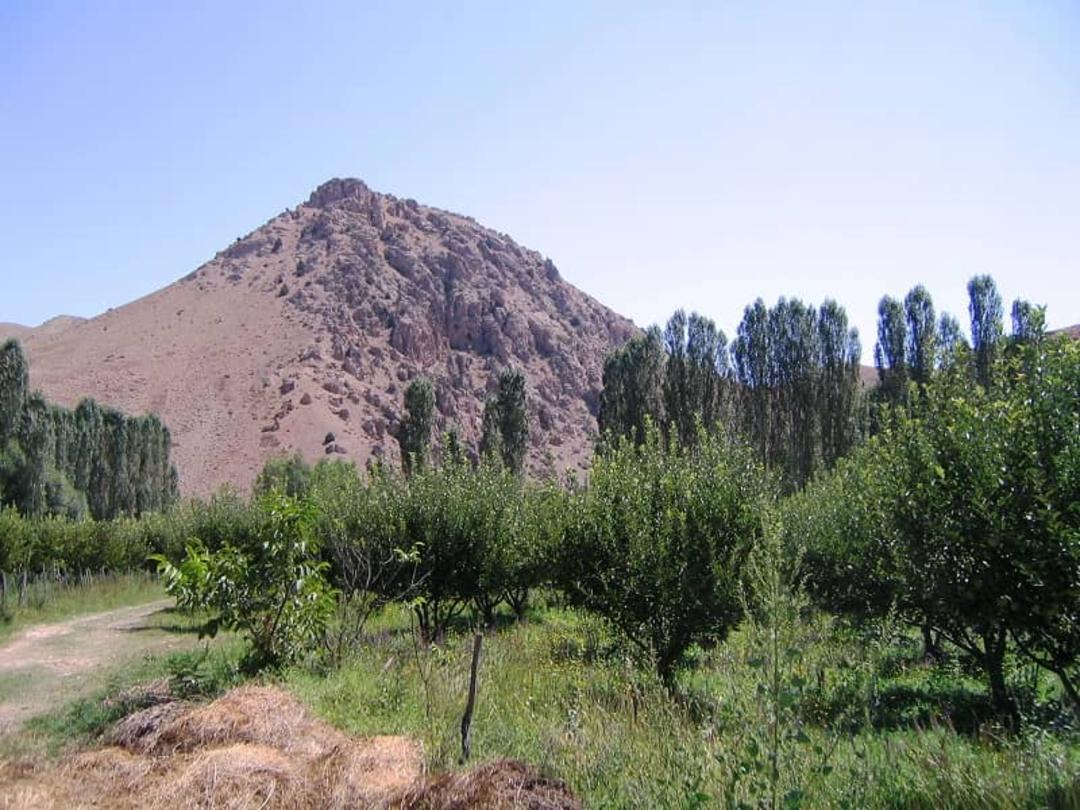 هرانده
