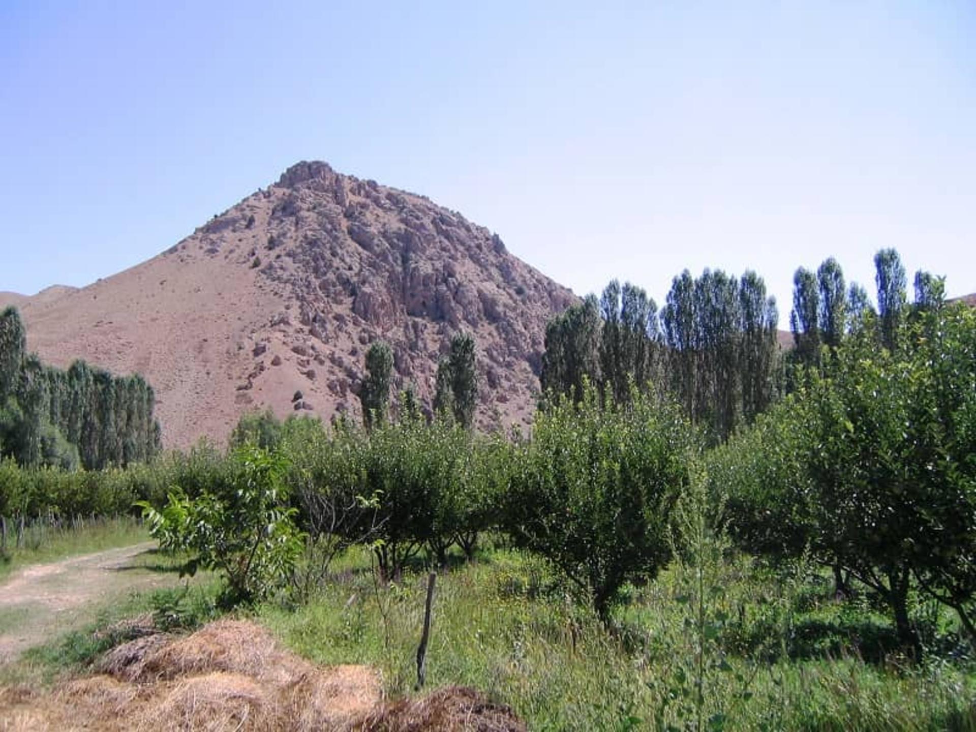هرانده