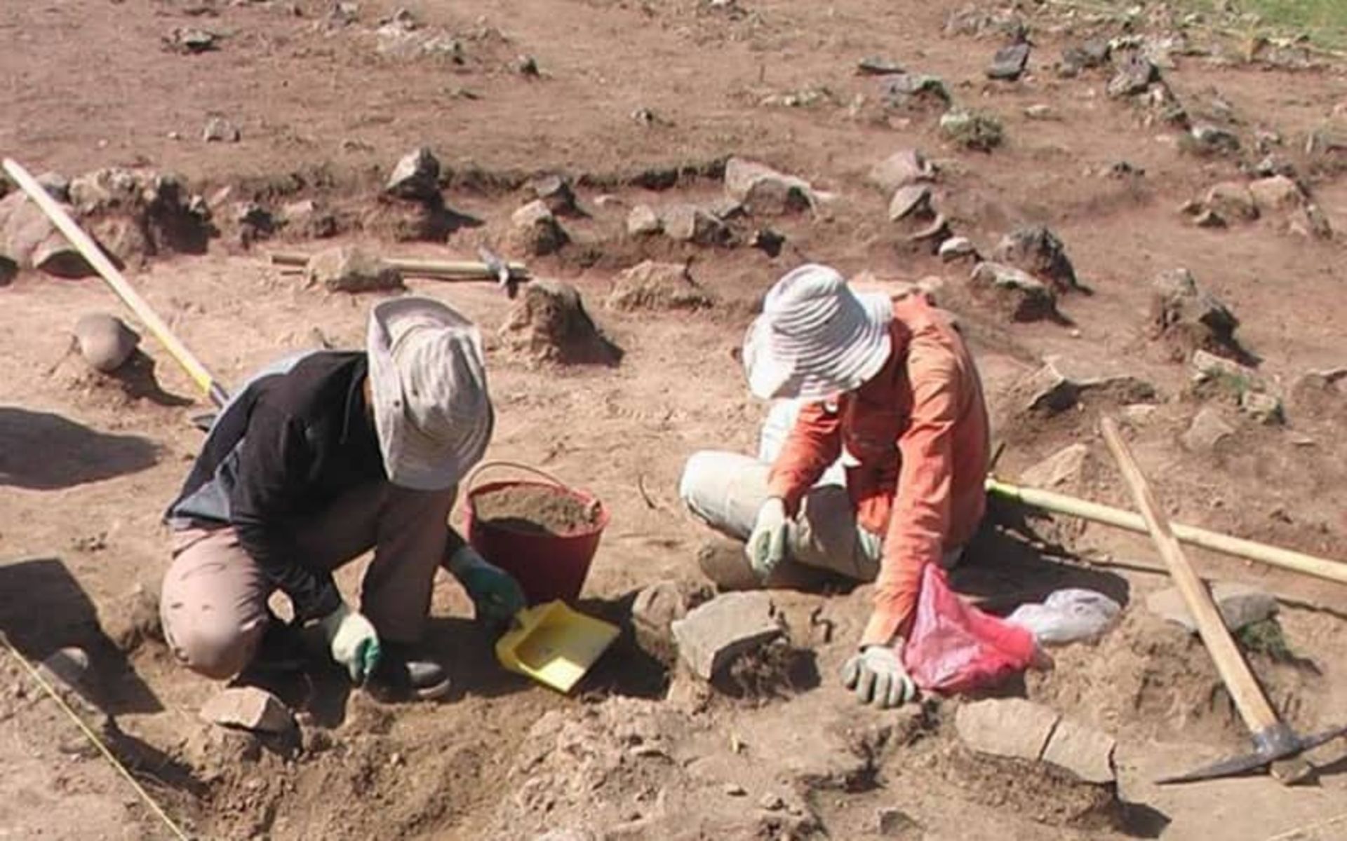 باستان شناسان در حال کاوش در منطقه ای تاریخی