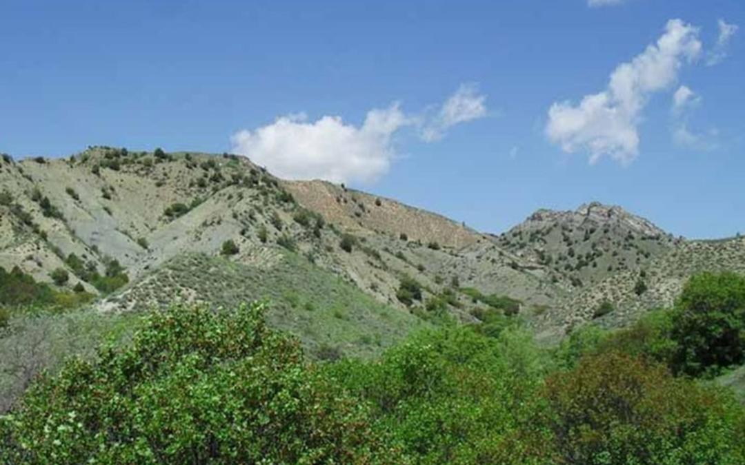 طبیعت کوهستانی باغ دره بجنورد