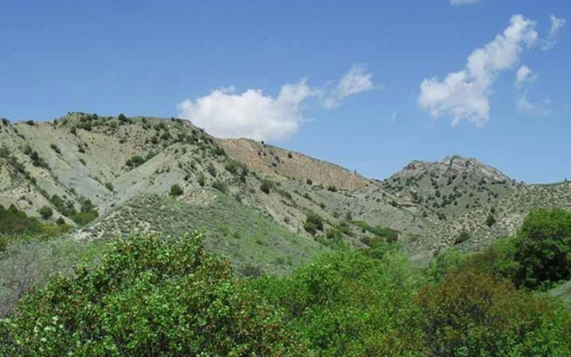 طبیعت باغ دره
