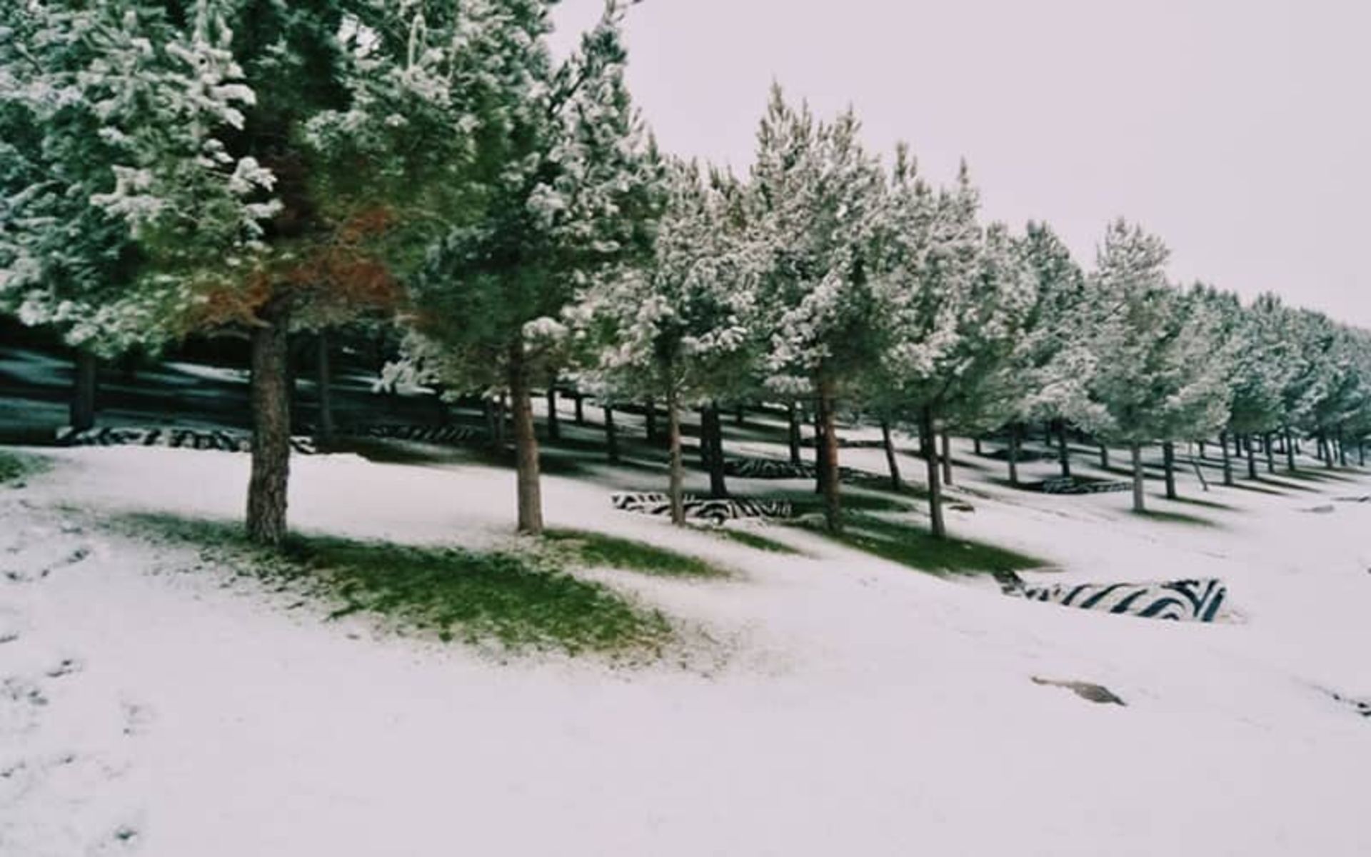 گردشگاه یئددی گوز (گردشگاه هفت چشمه)