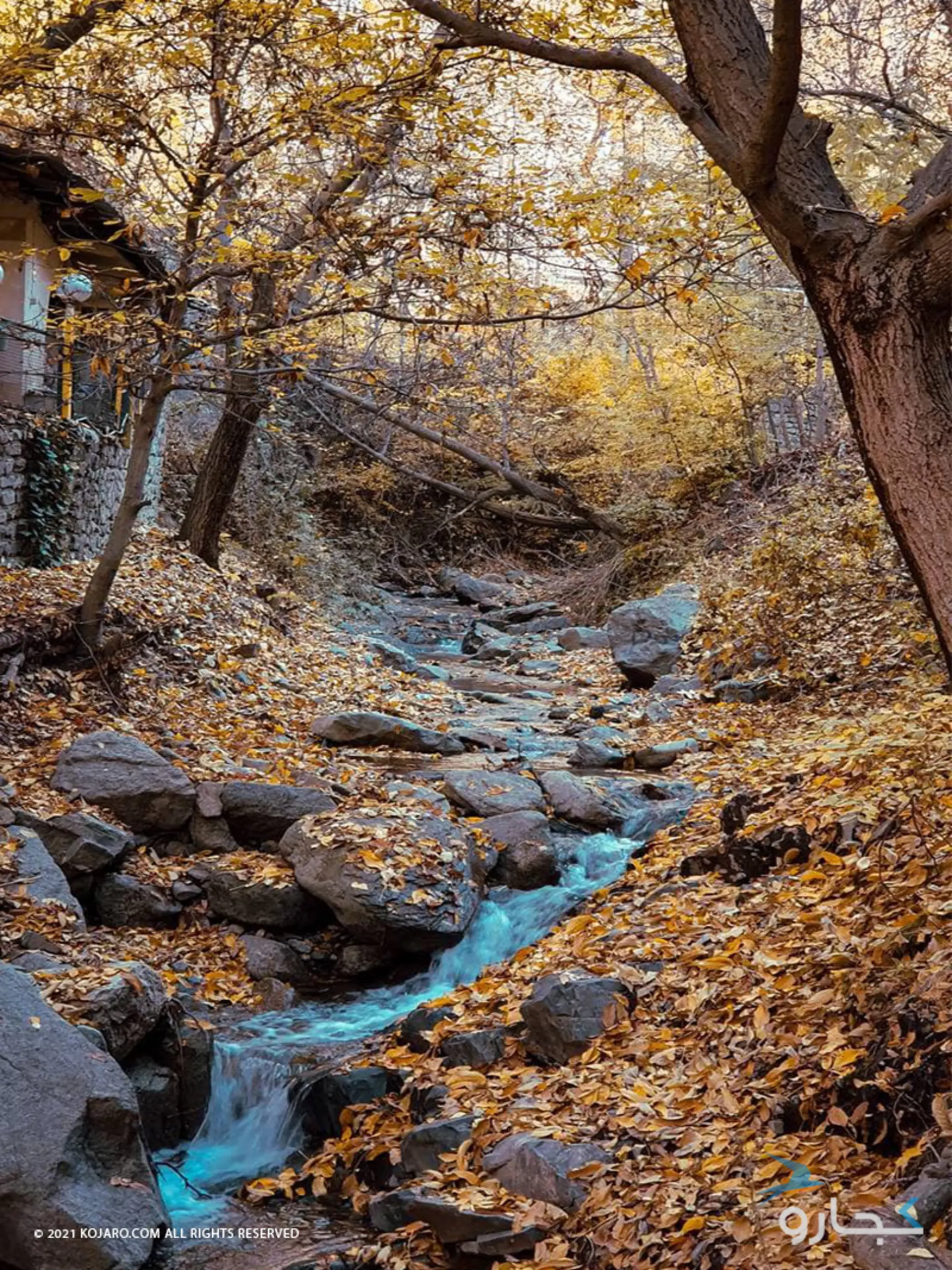 طبیعت روستای واریان در پاییز