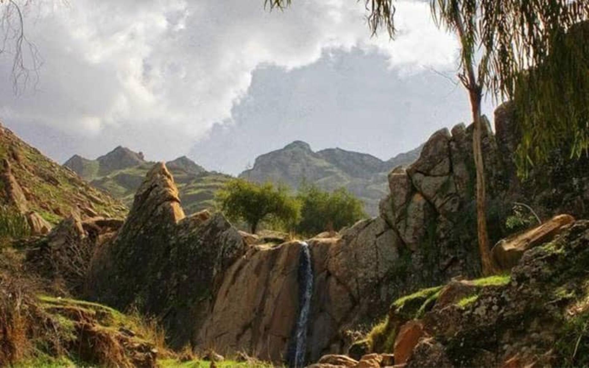 چشم انداز تماشایی از پارک جنگلی شقایق دزفول