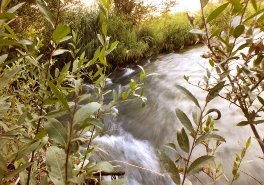 هرانده زیبا