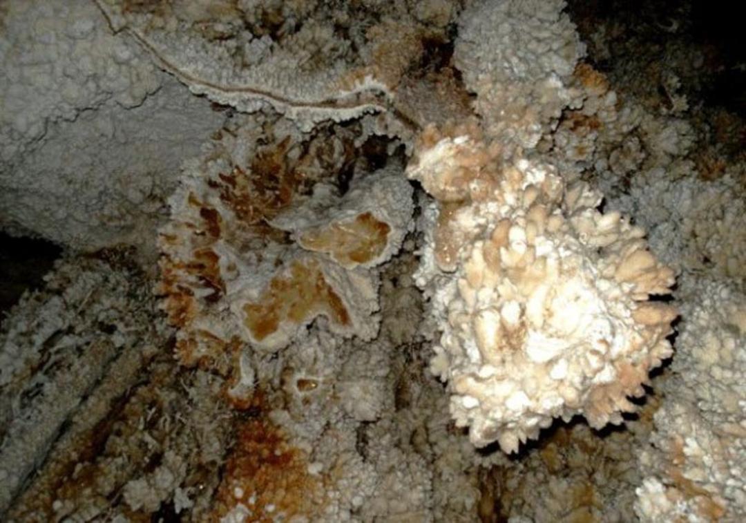 فسیل های نباتی و آهکی در غار نباتی ندوشن 