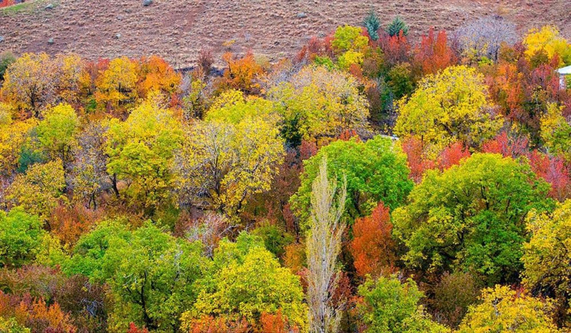 پاییز روستای سنگان