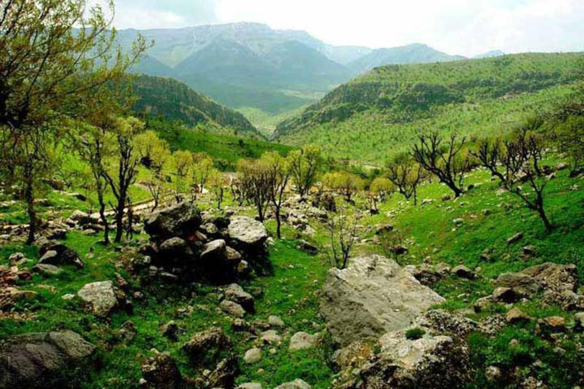 طبیعت زیبای منطقه حفاظت شده دنا در جاده سمیرم