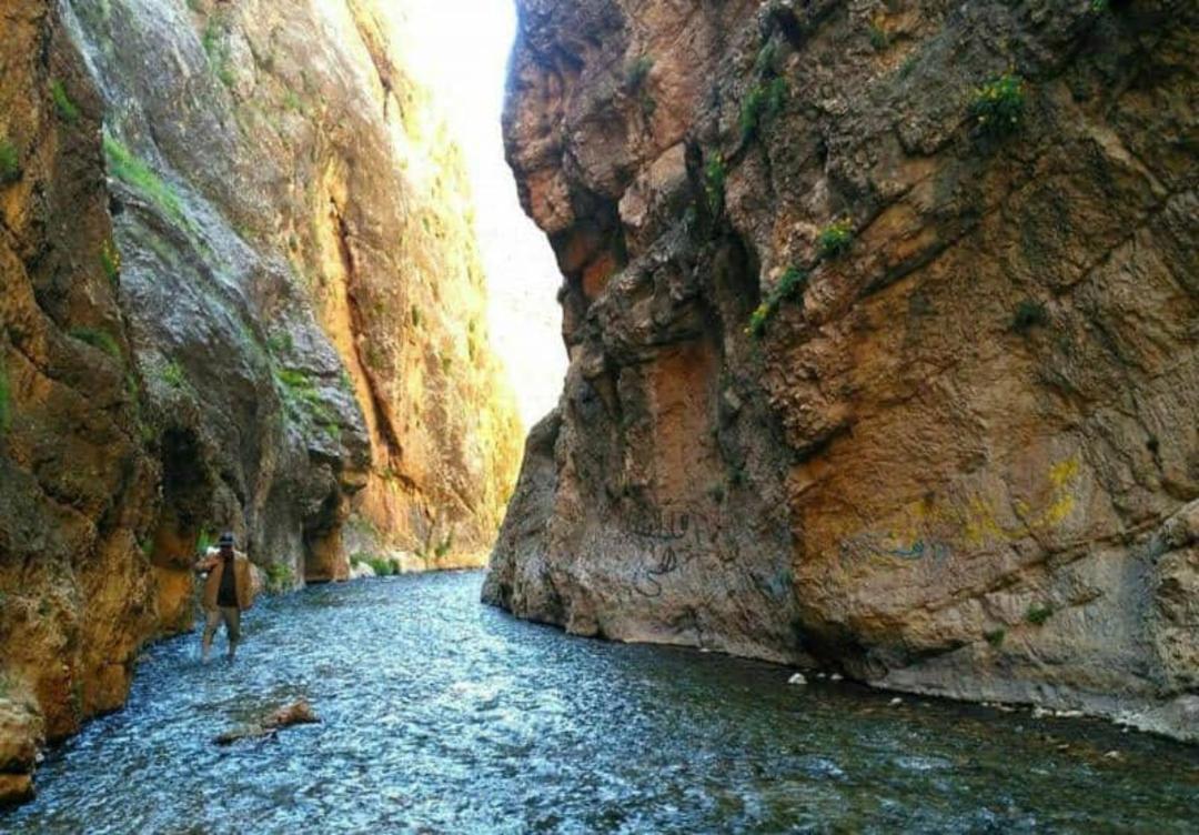 تنگه واشی