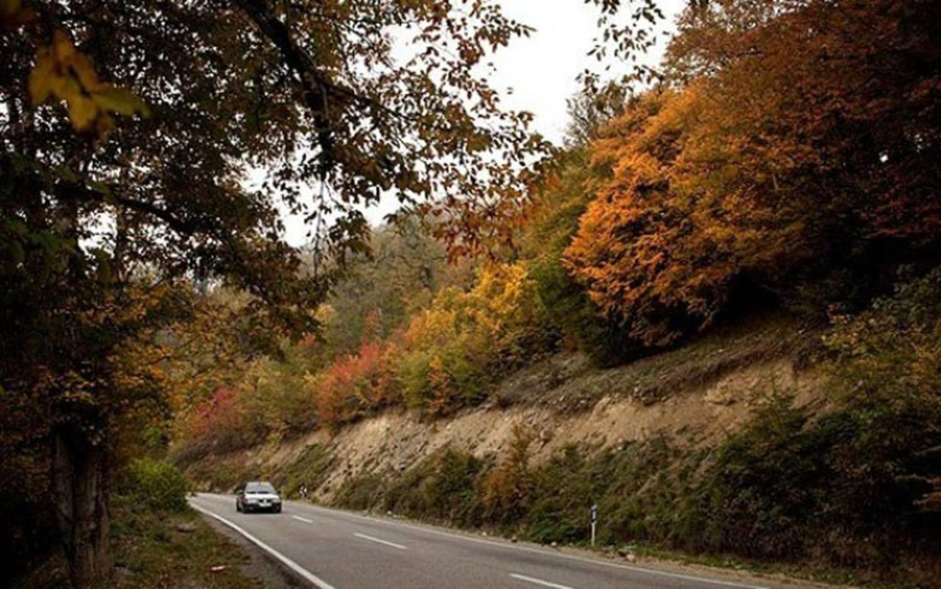 عبور خودرو از میان درختان پاییزی جنگل توسکستان