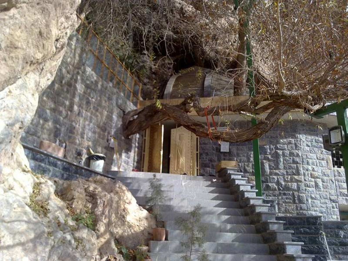 پیرِ سبزِ چک‌چک؛ روایتی از تقدس و مقاومت زرتشتیان