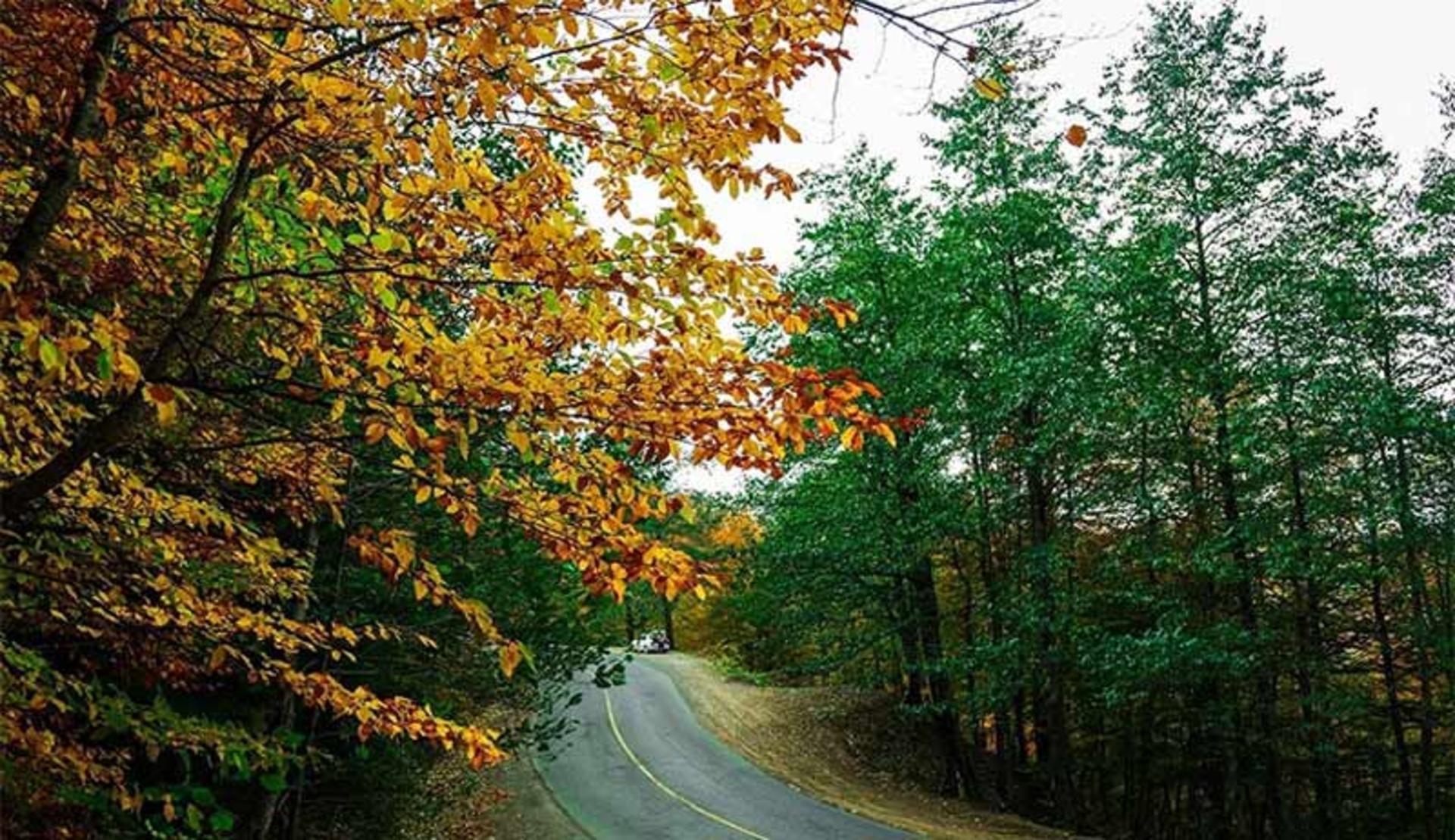 طبیعت زیبای جاده اسالم به خلخال