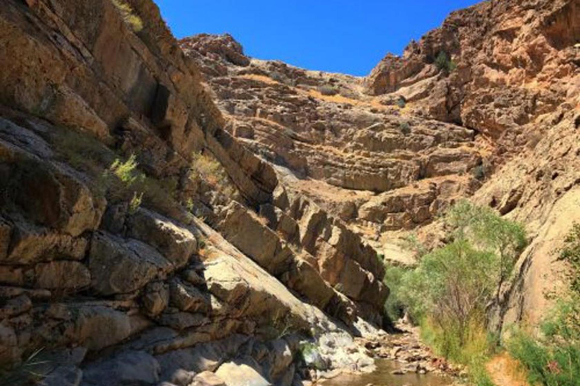 روستای ابدال آباد
